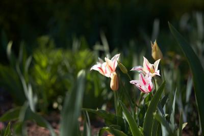 Прикрепленное изображение: IMG_4489 1.jpg